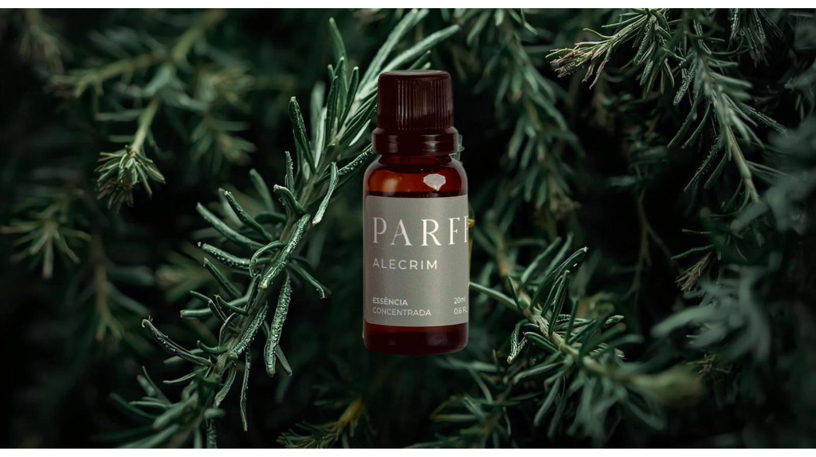 Essência Concentrada Alecrim 20ml Parff - Imagem 3
